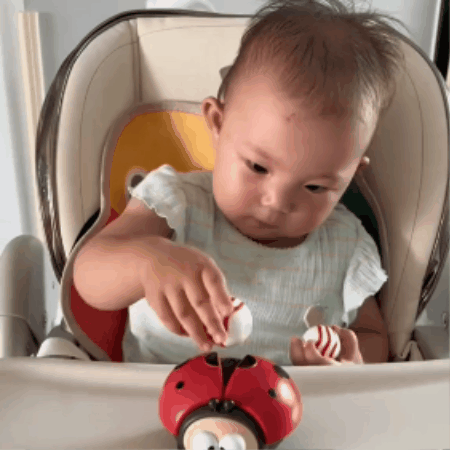 Ladybird Balloon Toy – Fun Playtime Activity for Babies (Encourages Motor Skills, Ages 0–2)