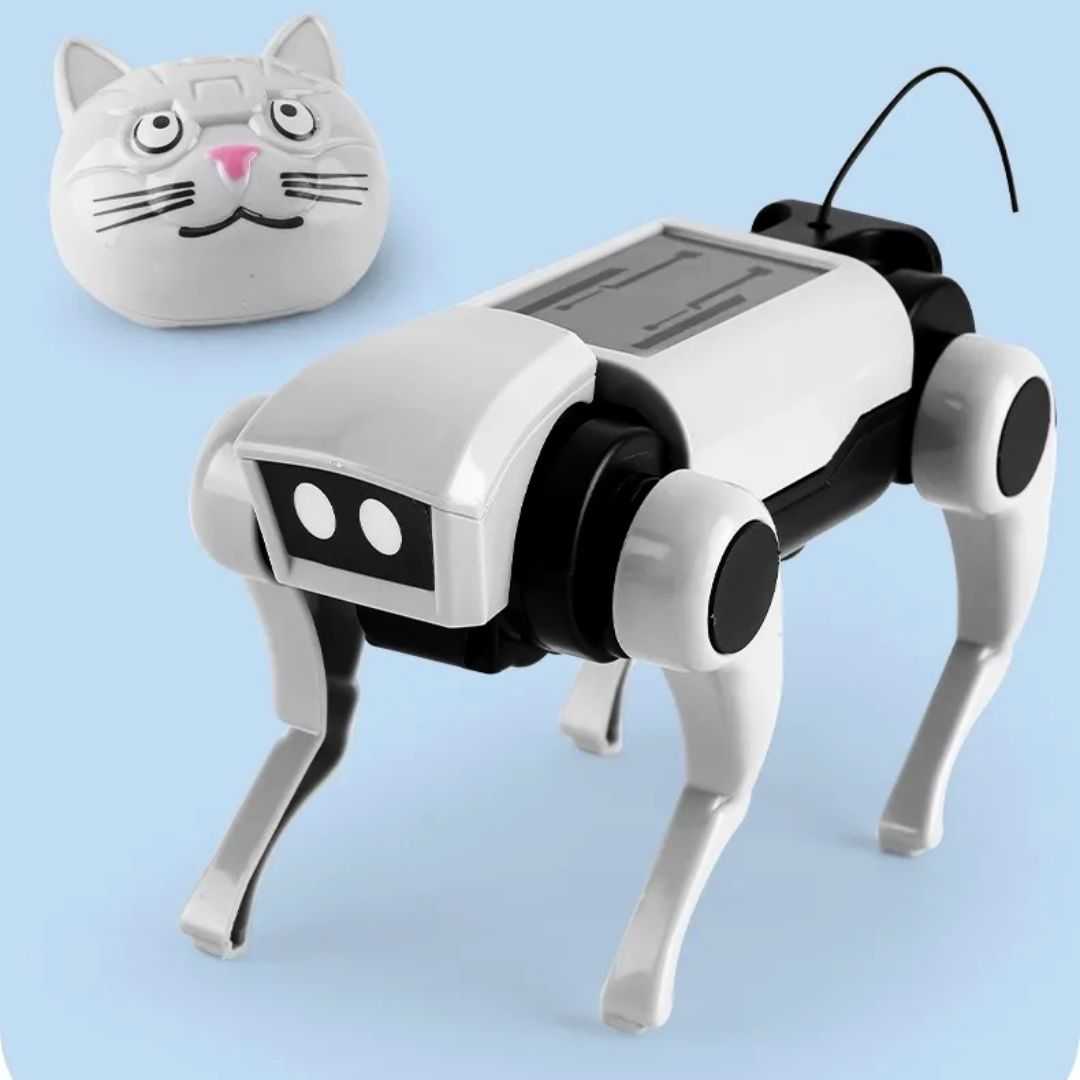 Loomora 2 IN 1 RC Mechanical Dog & Cat Kit