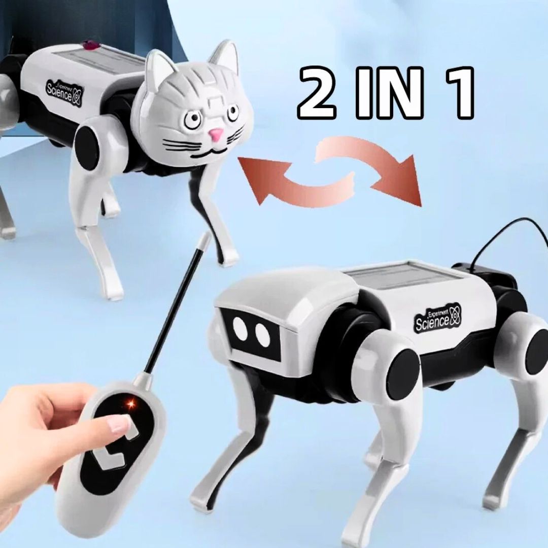 Loomora 2 IN 1 RC Mechanical Dog & Cat Kit