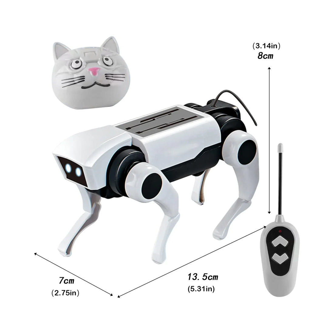Loomora 2 IN 1 RC Mechanical Dog & Cat Kit