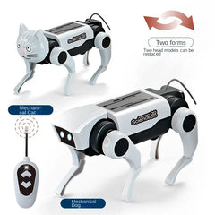Loomora 2 IN 1 RC Mechanical Dog & Cat Kit