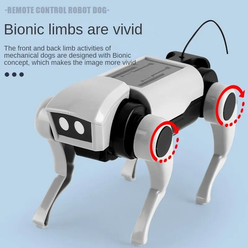 Loomora 2 IN 1 RC Mechanical Dog & Cat Kit